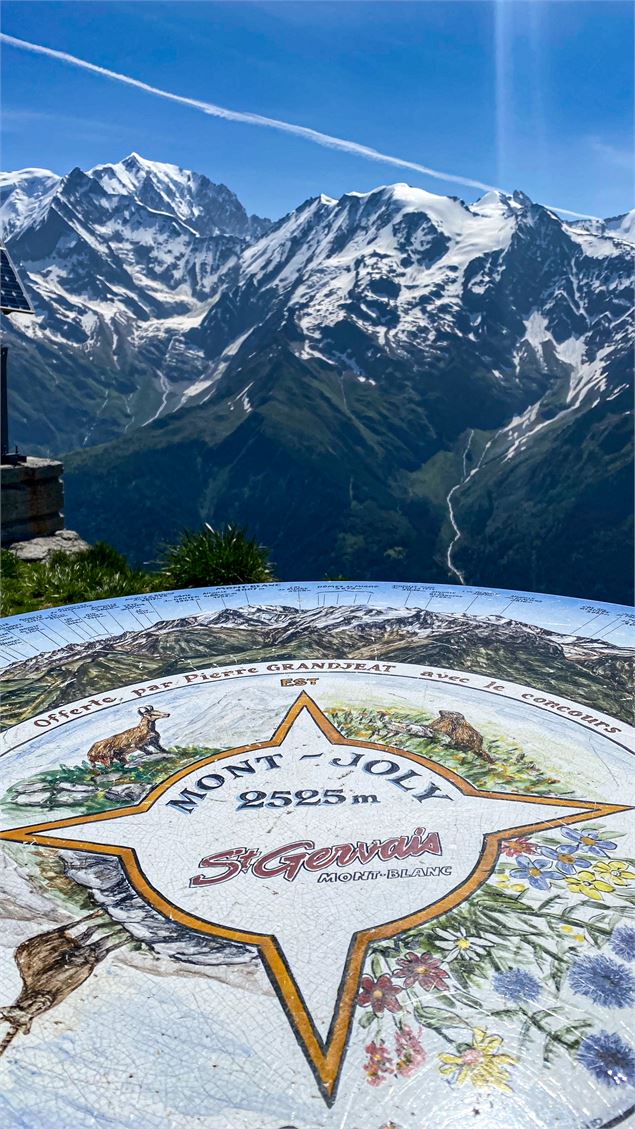 La vue depuis le Mont-Joly