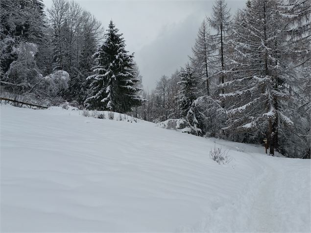 Chemin de la Pierra enneigé - OTMLP