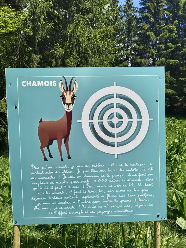 Cible Chamois - Village Tipi
