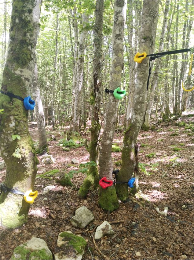 Village Tipi - Village Tipi