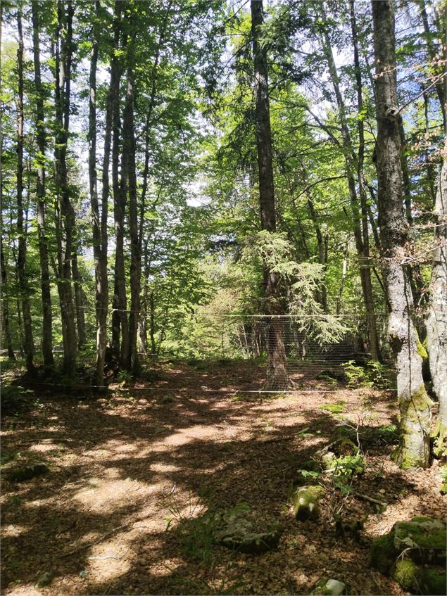 Village Tipi - Village Tipi