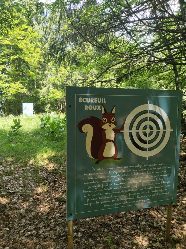 Cible écureuil - Village Tipi