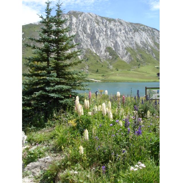 Montée cyclo de Tignes/Val Claret - SavoieMontBlanc-Triquet