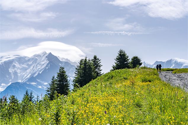 Mont Joux en passant par la Crête du Mont d'Arbois - B. Molinier