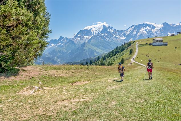 Crête du Mont d'Arbois - B. Molinier