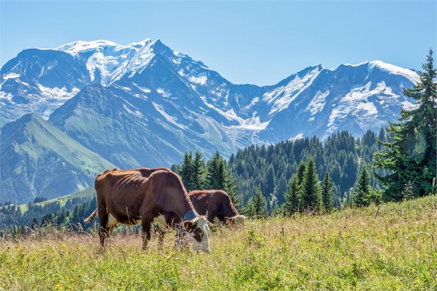 Le Mont Joly depuis le Bettex - Boris Moliner