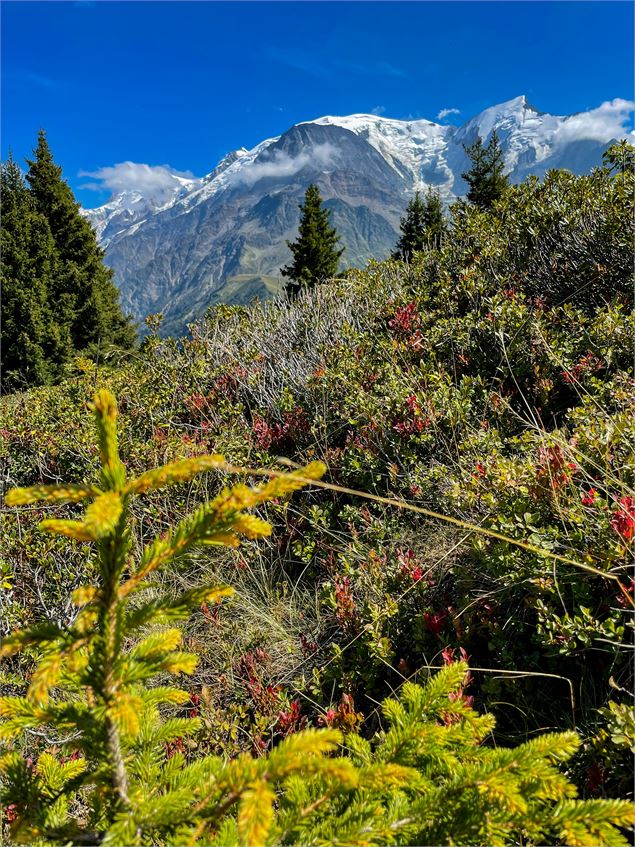 Le Tour de la Tête de Charme au départ du col de Voza