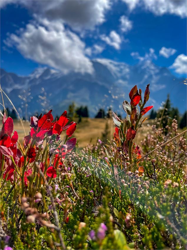 Le Tour de la Tête de Charme au départ du col de Voza
