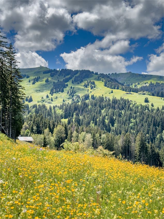 Du Bettex au Plateau de la Croi