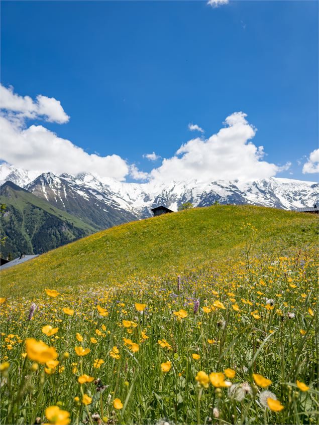 Du Bettex au Plateau de la Croix