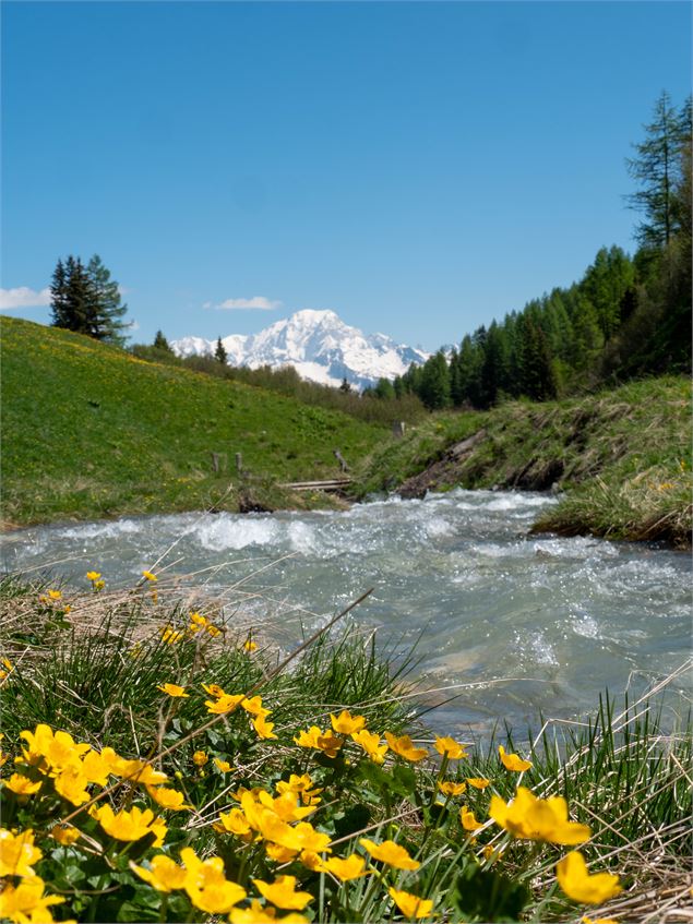 Le ruisseau de Pramain - OTMLC