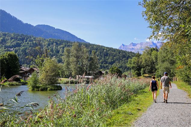 Chavants vue Fiz - Alexandre Juillet