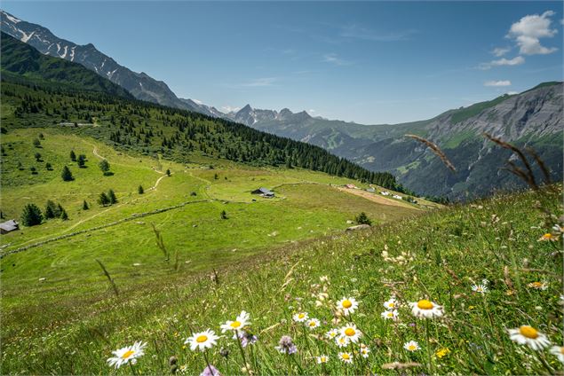 La Gruvaz - Le Truc - Alpage de Miage, boucle de randonnée_Saint-Gervais-les-Bains - Michael Lafrass