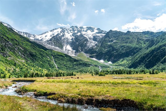 La Gruvaz - Le Truc - Alpage de Miage, boucle de randonnée_Saint-Gervais-les-Bains - Michael Lafrass