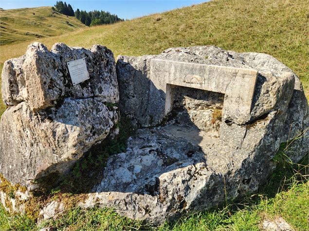 Œuvre de Yann Narzabal - Roger