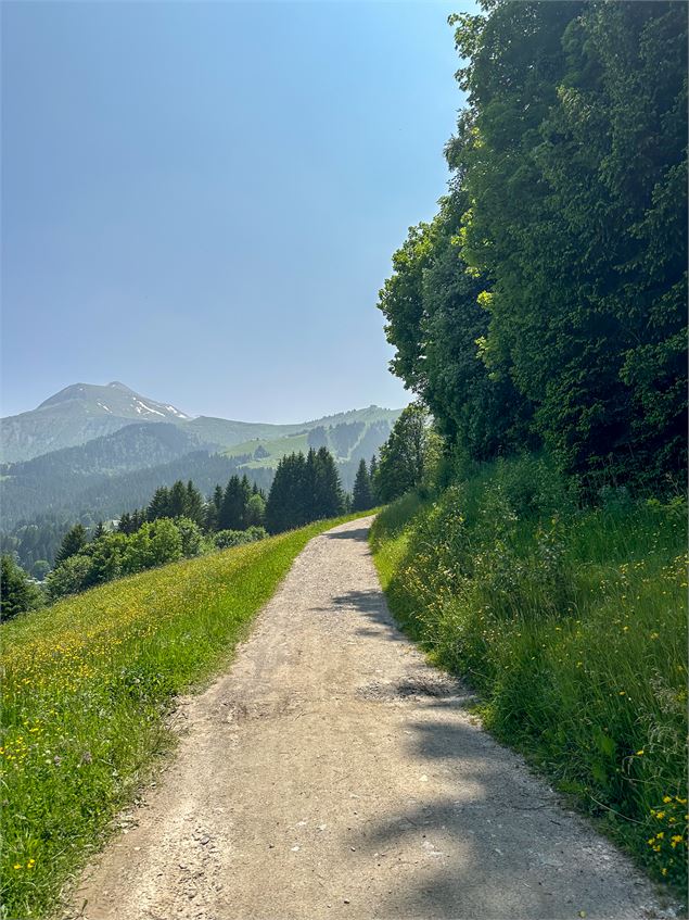 Sur la piste de Charlotte la Marmotte, sentier thématique