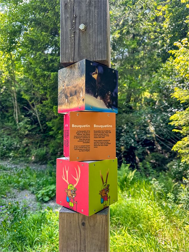 Sur la piste de Charlotte la Marmotte, sentier thématique