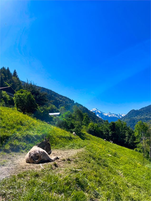 Boucle Cheminée des fées en passant par le Berchat