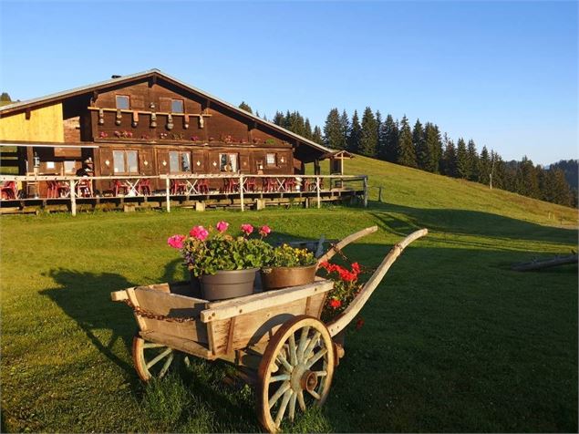 Alpage la Grand Montaz - Alpage la Grand Montaz