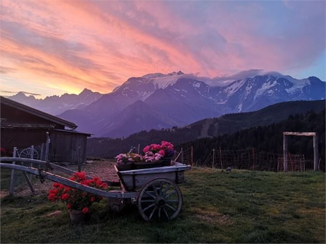 Alpage la Grand Montaz - Alpage la Grand Montaz