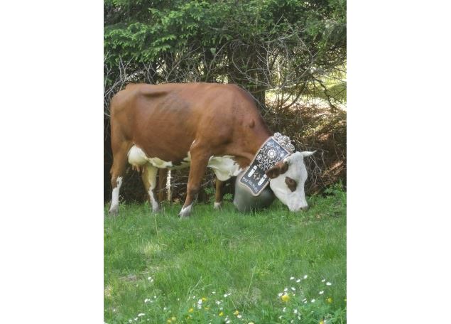 Alpage la Grand Montaz - Alpage la Grand Montaz