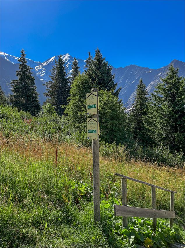 Le Mont Lachat depuis Bellevue