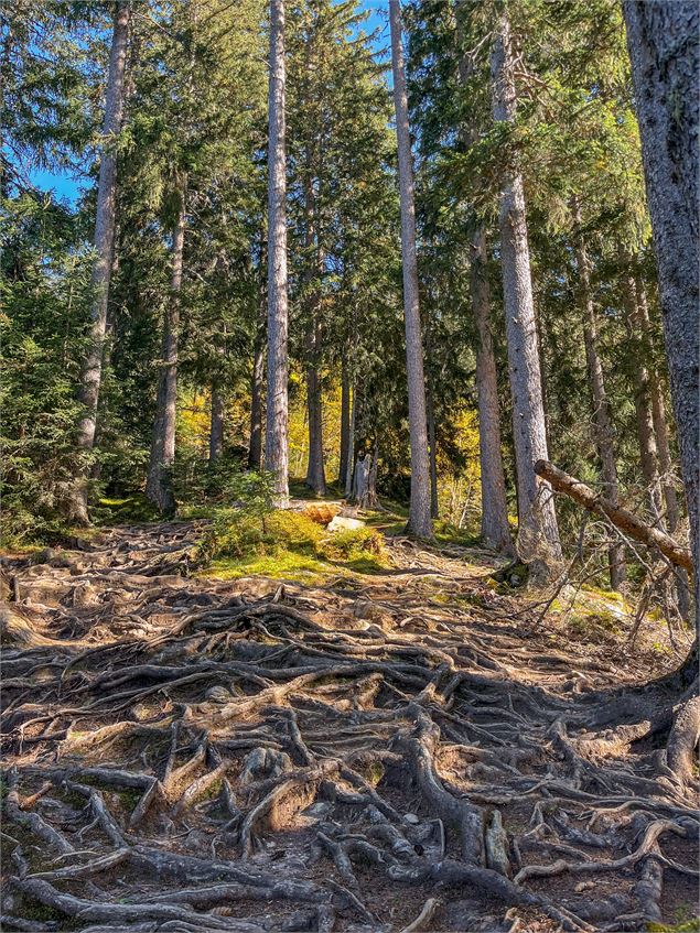 Le Mont-Truc au départ de la Frasse