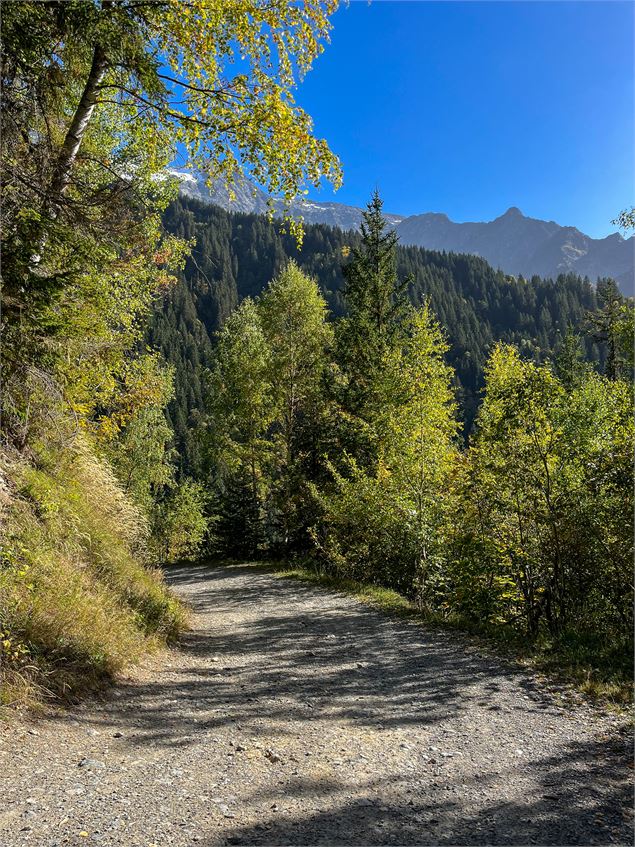 Le Mont-Truc au départ de la Frasse