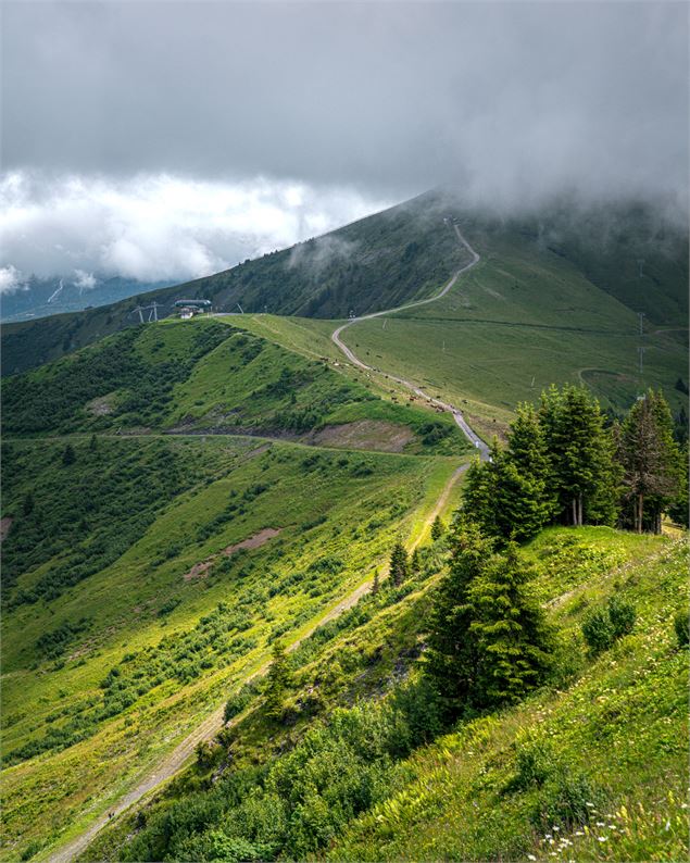 Le Lac de Joux depuis le Mont d'Arbois