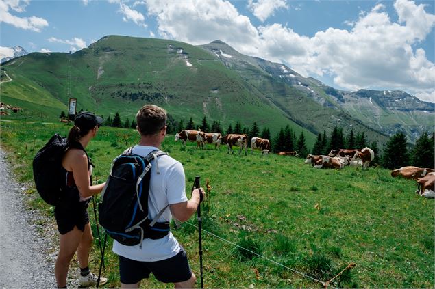 Le Mont Joly au départ du Mont d'Arbois - Fabian Bodet