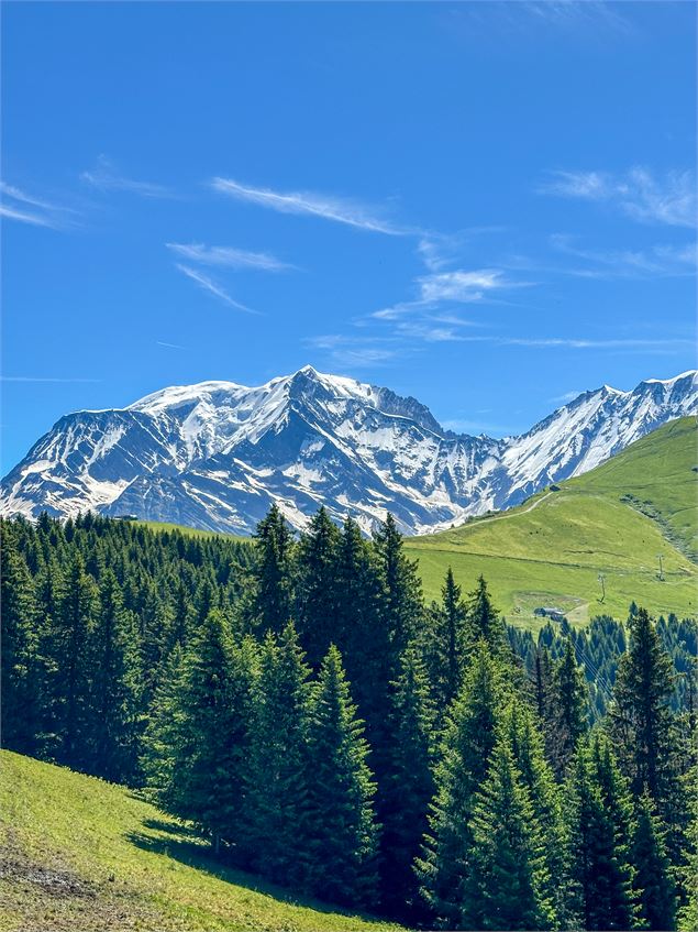 Les chalets d'Hermance au départ du Mont d'Arbois