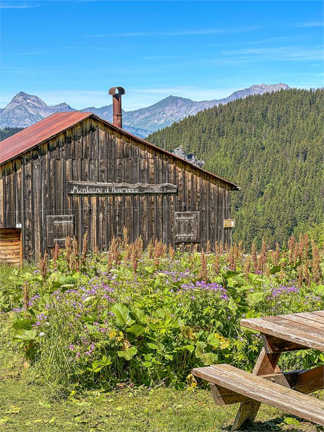 Les chalets d'Hermance au départ du Mont d'Arbois