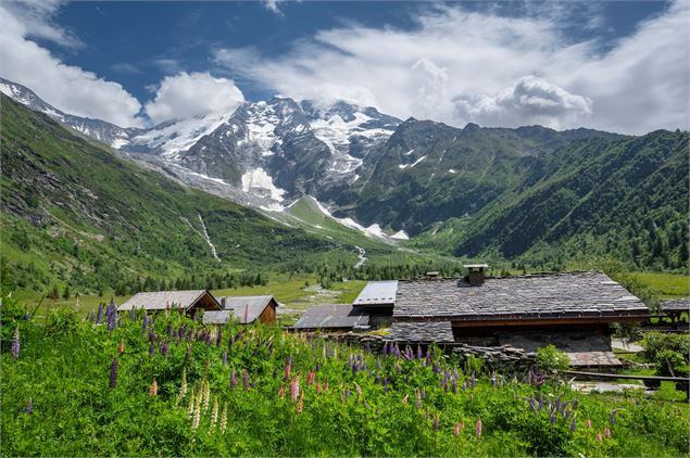 Le tour du Mont Vorassay, boucle de randonnée - Gilles Lansard