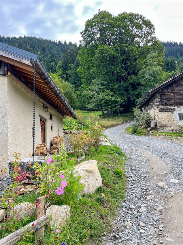 Le Col de Tricot au départ de la Gruvaz