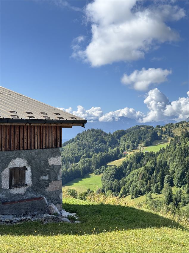 chalet d'alpage - Christelle Becameil