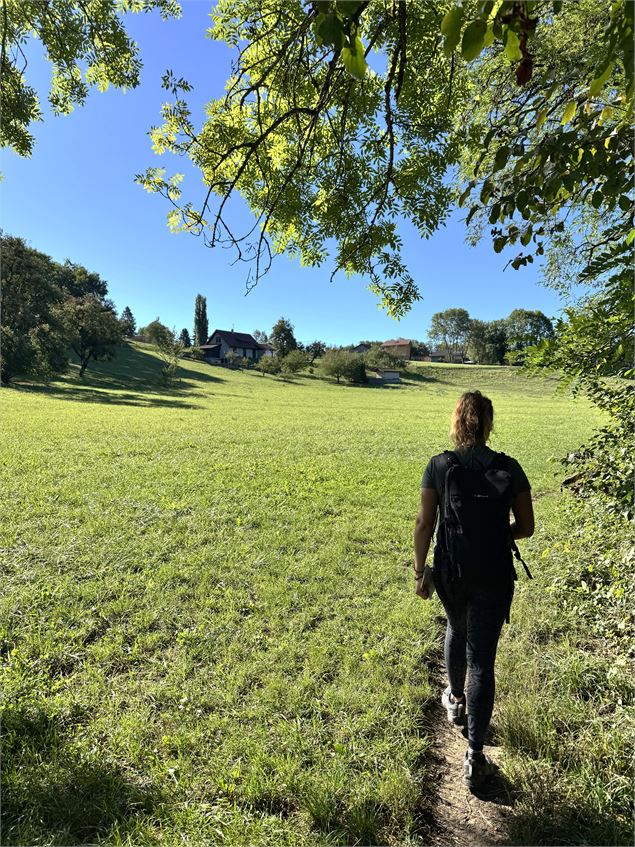 Sentier de randonnée - Ponts et moulins_Fillinges - arnaud lesueur