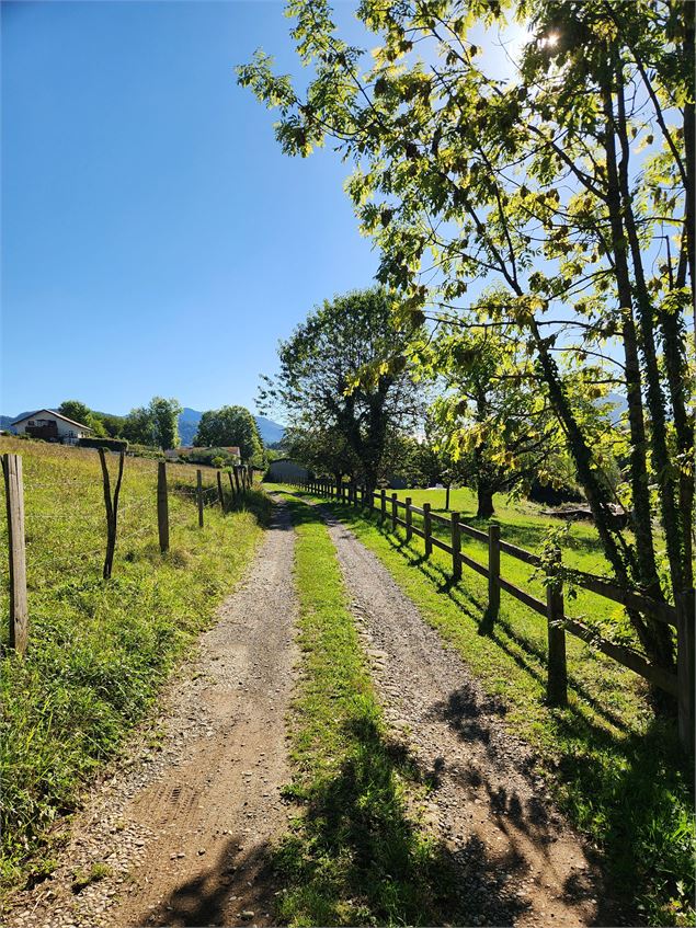 Sentier de randonnée - Ponts et moulins_Fillinges - arnaud lesueur