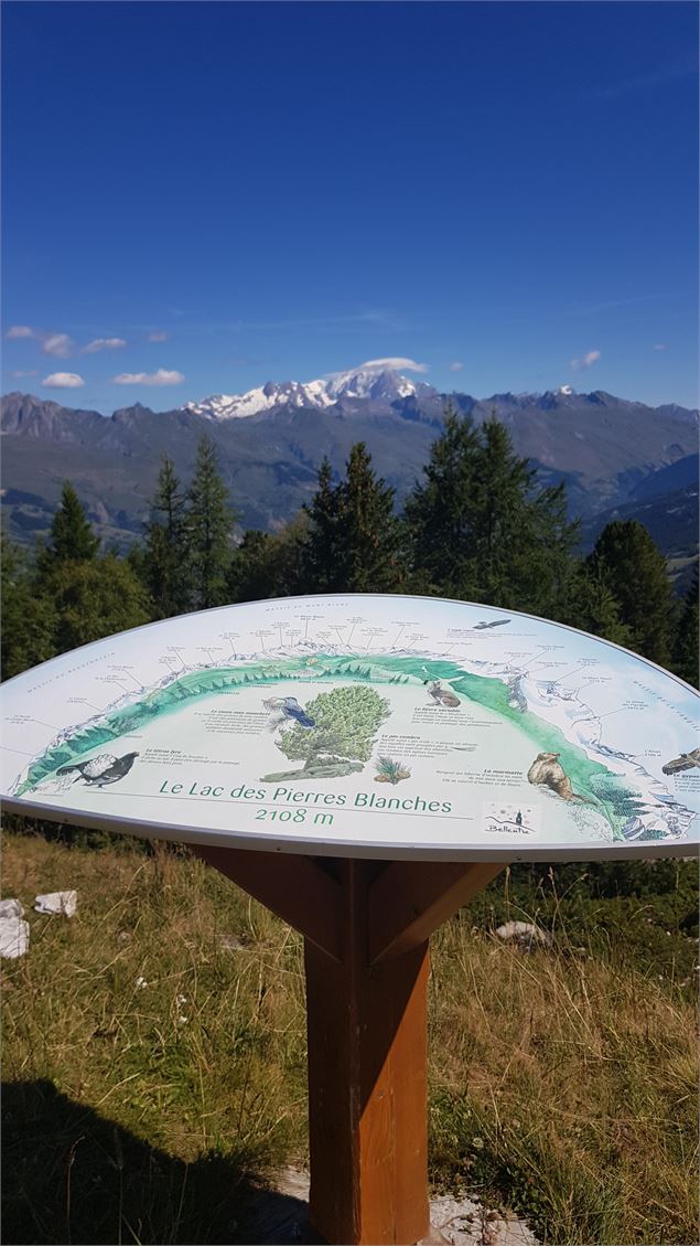 Table panoramique - OTMLC