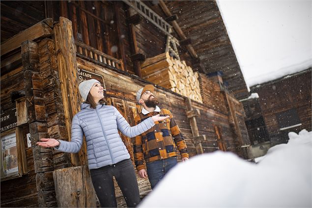 Sous la neige - T. Vattard