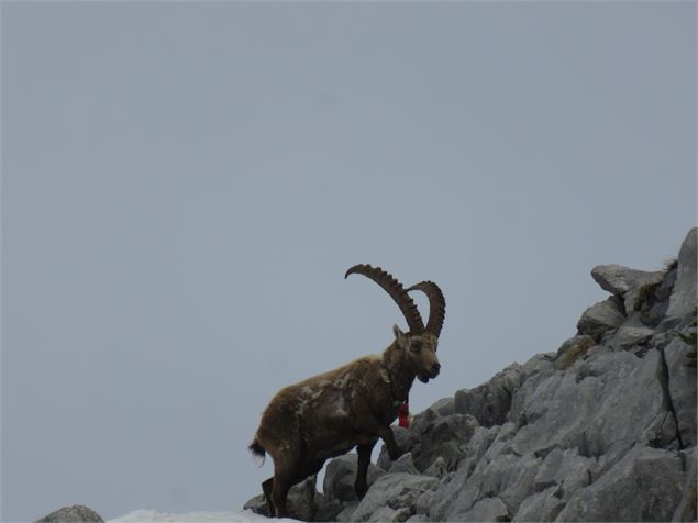 Grotte de Montarquis - CAMT