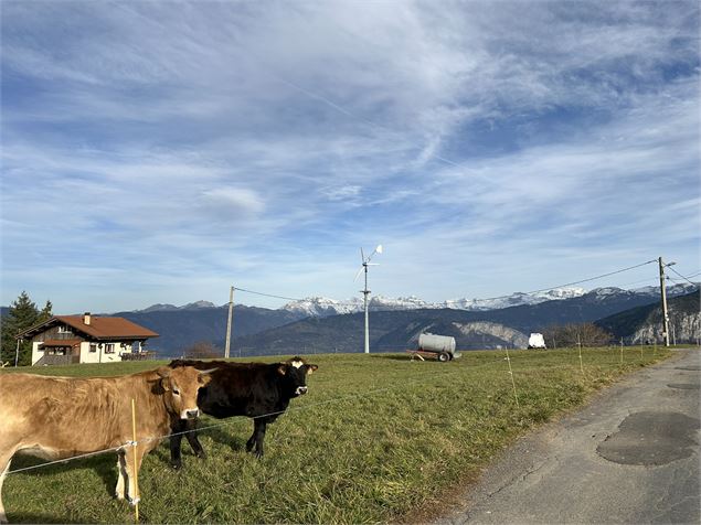 Boucle VTT - Mont-Saxonnex_Mont-Saxonnex