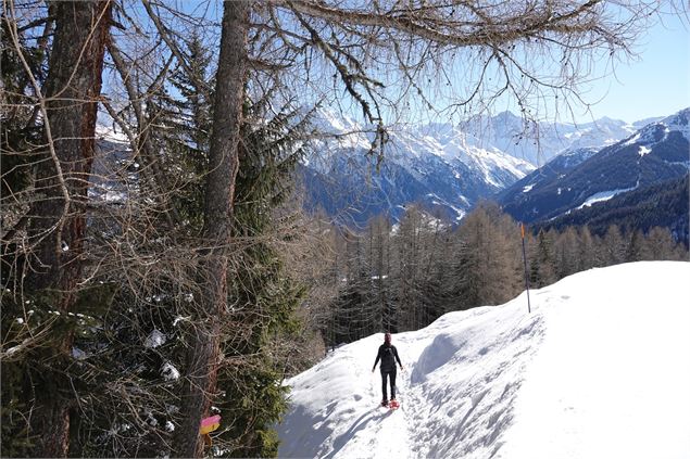 La Grange à Tienne Oeudan - Verbier Tourisme