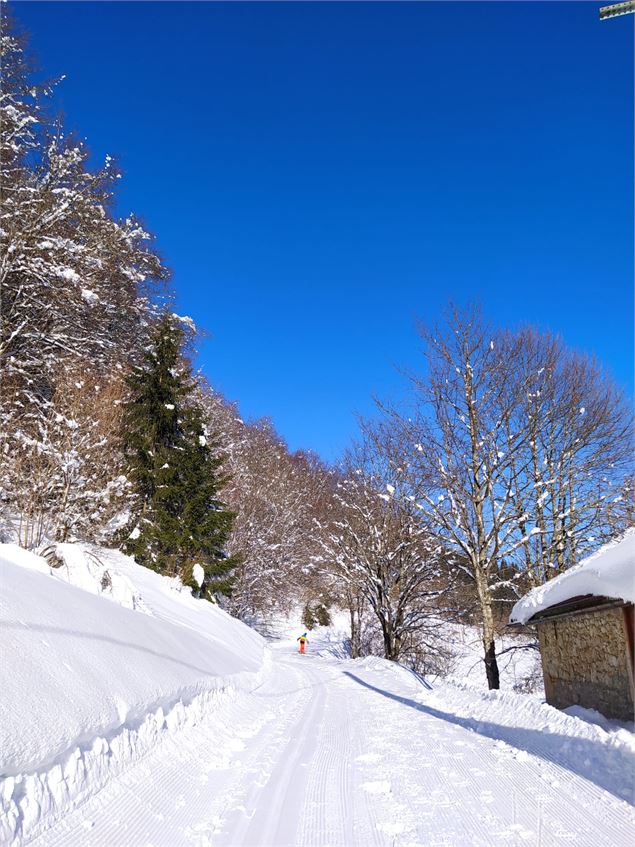 Piste multiactivité - OTpaysdegex