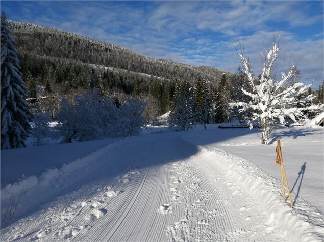 Piste multiactivité - Stéphanie Thomas
