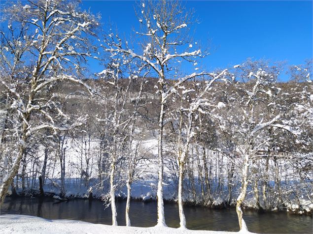Le long de la Valserine - Stéphanie Thomas