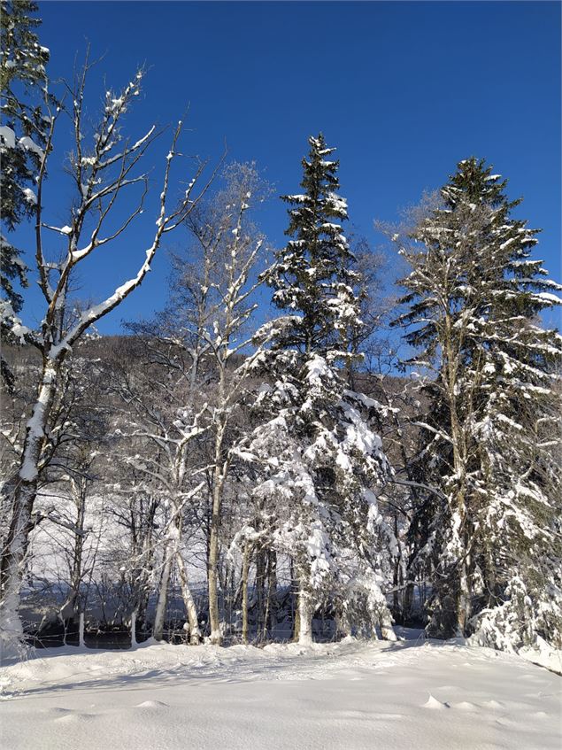 Le long de la rivière - Stéphanie Thomas
