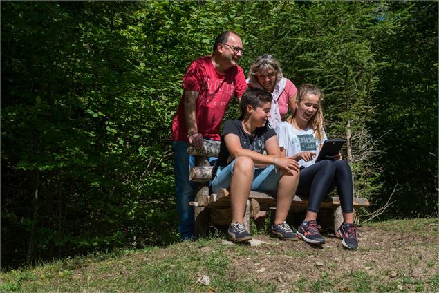 Défis et énigmes - Charles Savouret