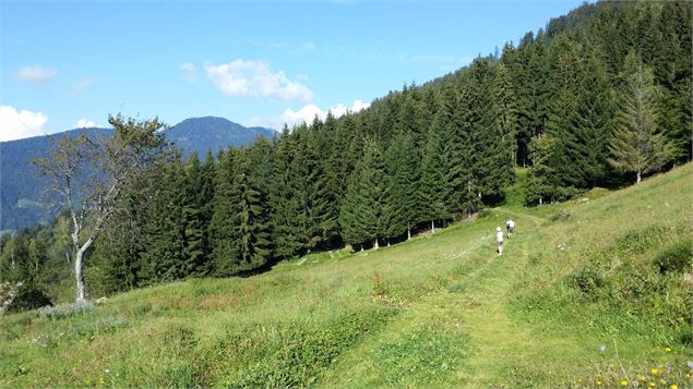 Sentier des Pointières - C. Tatin - Le Beaufortain