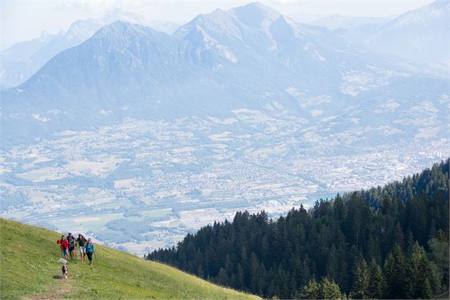 Alpage de la Thuile3 - © Alain Morandina