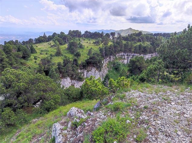 Cavité Crêt de la Neige - ©jthevenard